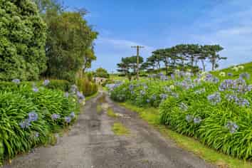 41a Ball Road, Kakaramea