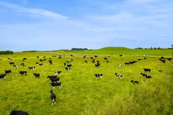 41a Ball Road, Kakaramea