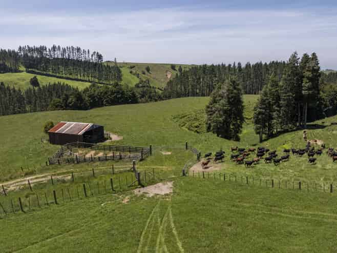 1707 Te Matai Road, Te Puke