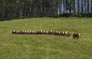 1707 Te Matai Road, Te Puke