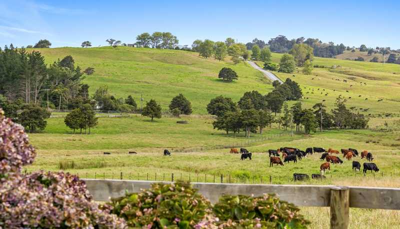 291 Prictor Road, Wellsford