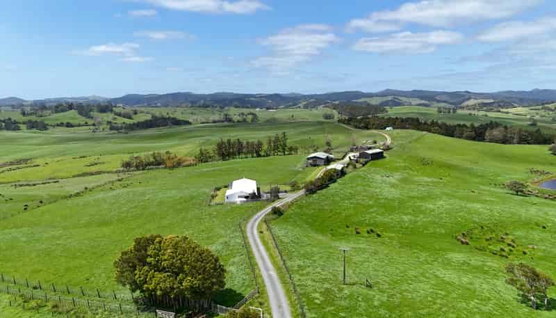 291 Prictor Road, Wellsford