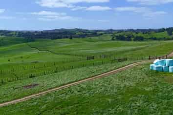 291 Prictor Road, Wellsford