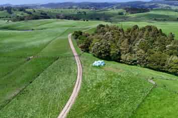 291 Prictor Road, Wellsford