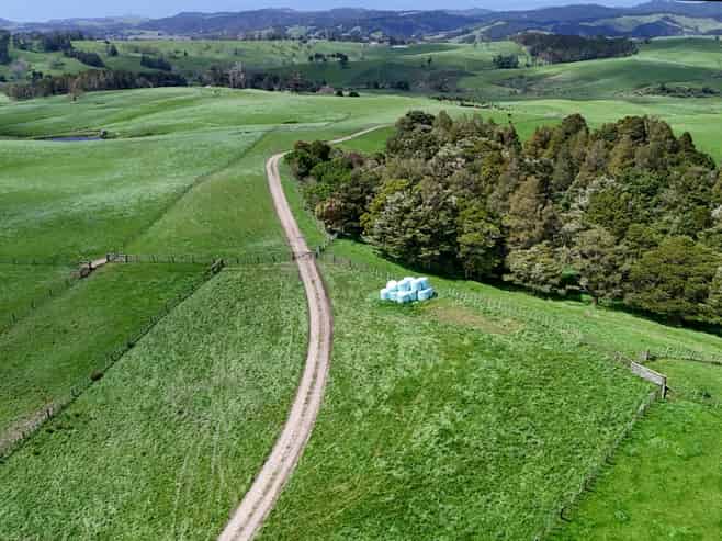 291 Prictor Road, Wellsford