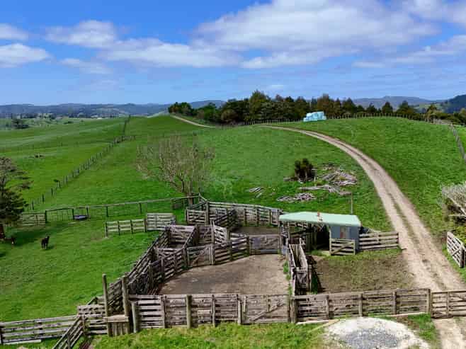 291 Prictor Road, Wellsford