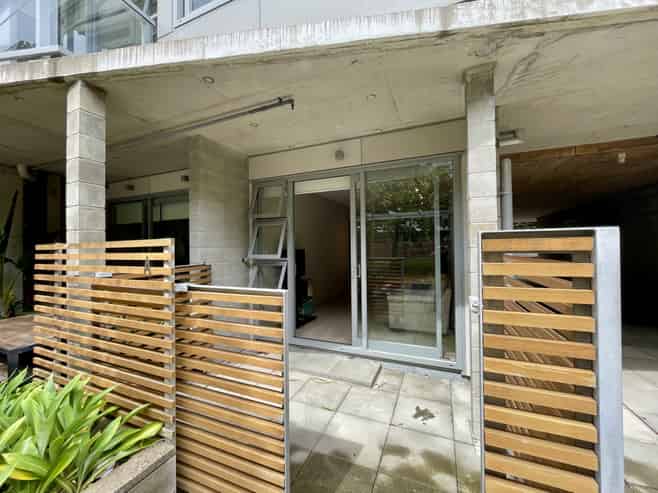 S103A/28 Torrens Terrace, Te Aro