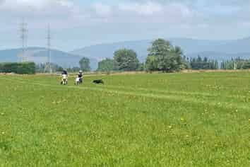  Wairio Church Road, Otautau