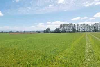  Wairio Church Road, Otautau