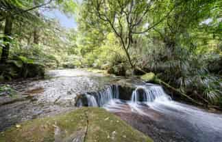 280 Old Kaimai Road, Kaimai