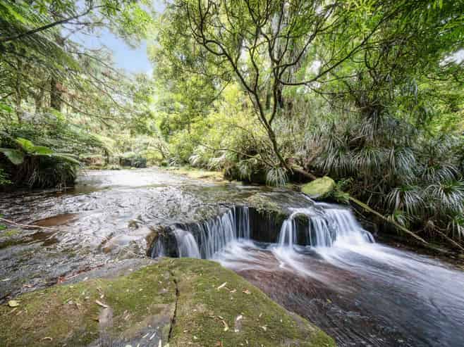 280 Old Kaimai Road, Kaimai