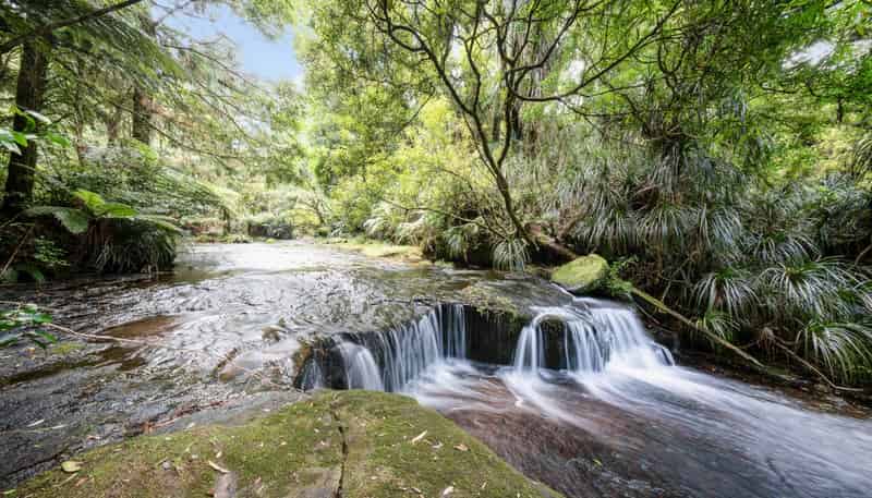 280 Old Kaimai Road, Kaimai