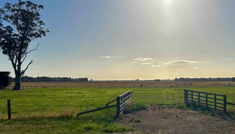 Lot 3, 168 Seabridge Road, Motukarara