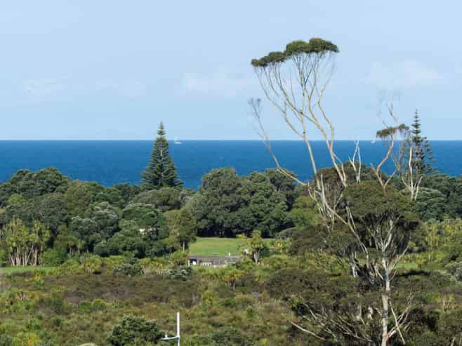 21 Humenga Place, Long Bay