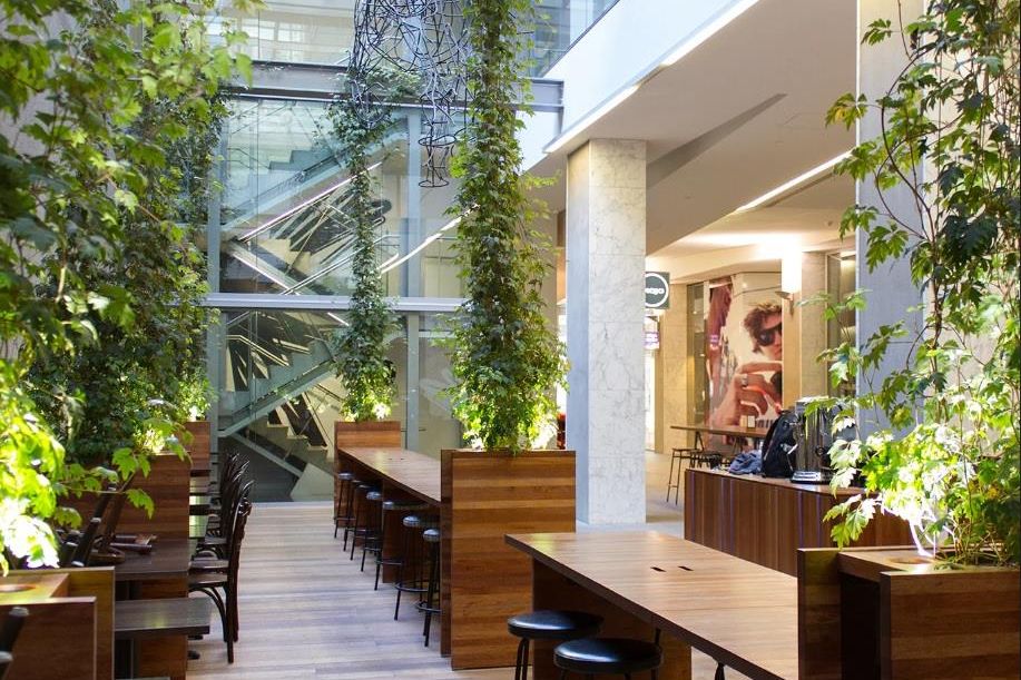 Largest Premium Office Floor For Lease - Vista 3