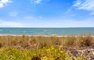 20 Taylor Road, Papamoa