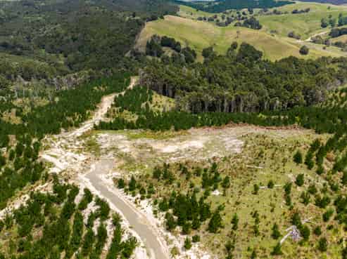 Lot/12 Arcadia Road, Paparoa