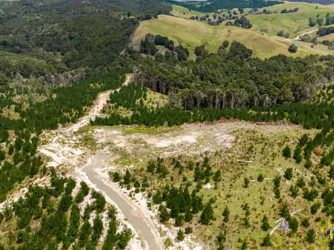 Lot/12 Arcadia Road, Paparoa