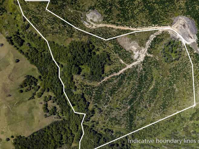 Lot/12 Arcadia Road, Paparoa