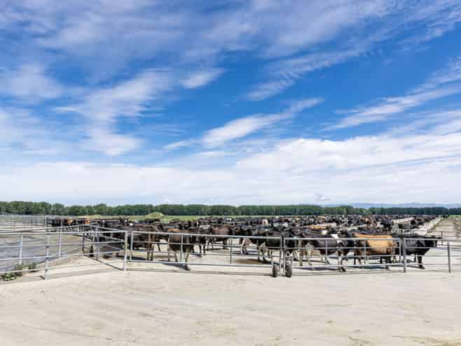 17 Young Road, Temuka