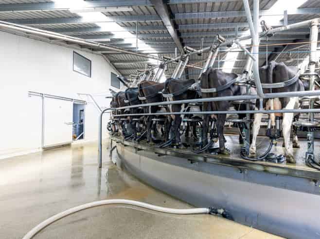 17 Young Road, Temuka