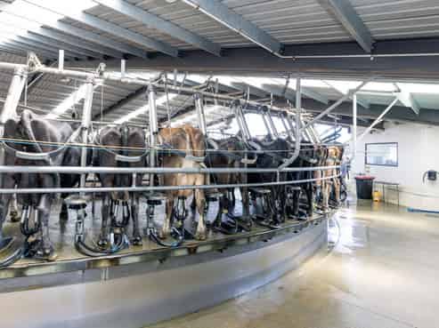 17 Young Road, Temuka