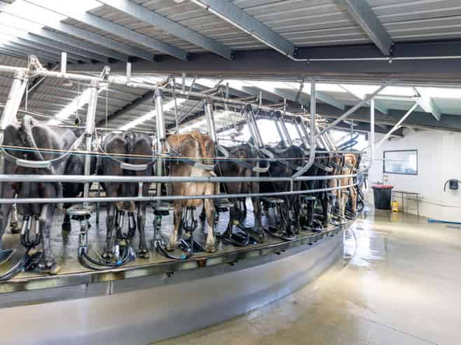 17 Young Road, Temuka