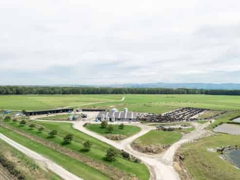 17 Young Road, Temuka