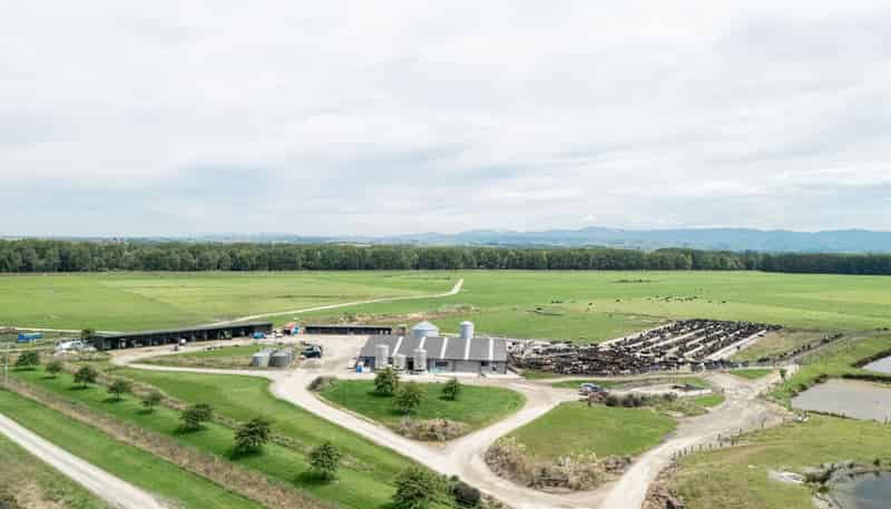 17 Young Road, Temuka