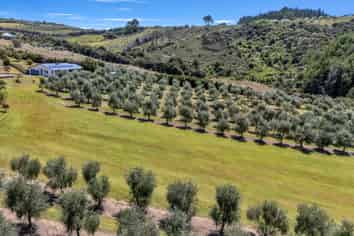 79 Leccino Valley Road, Mangonui