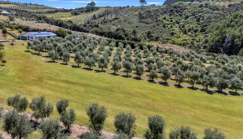 79 Leccino Valley Road, Mangonui