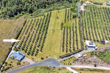 79 Leccino Valley Road, Mangonui