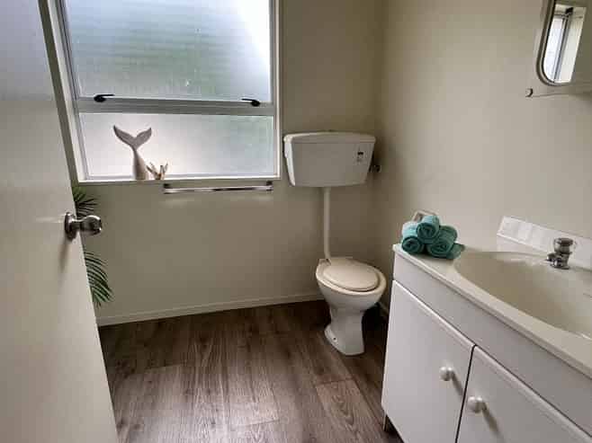 7 Serpentine Avenue, Dunedin Central