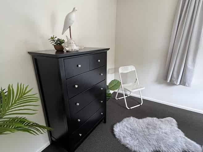 7 Serpentine Avenue, Dunedin Central