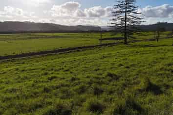 Lot 1 Motukiore Road, Horeke