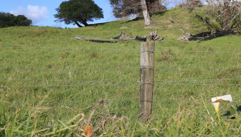 Lot 1 Motukiore Road, Horeke