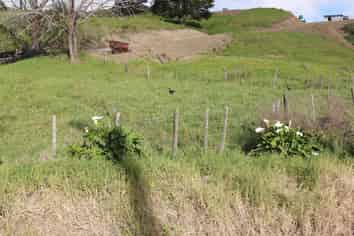 Lot 1 Motukiore Road, Horeke