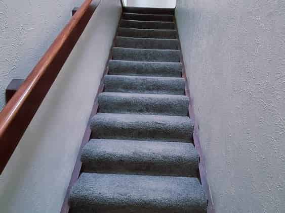 40 Park Street, North Dunedin