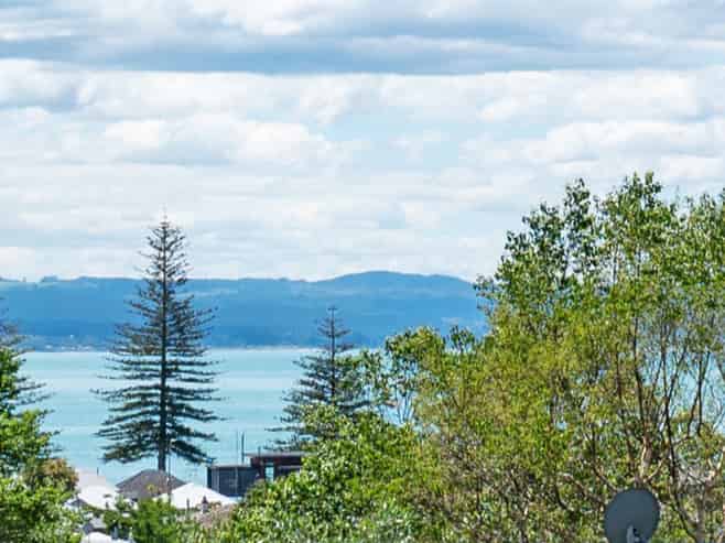 151 Milton Road, Bluff Hill