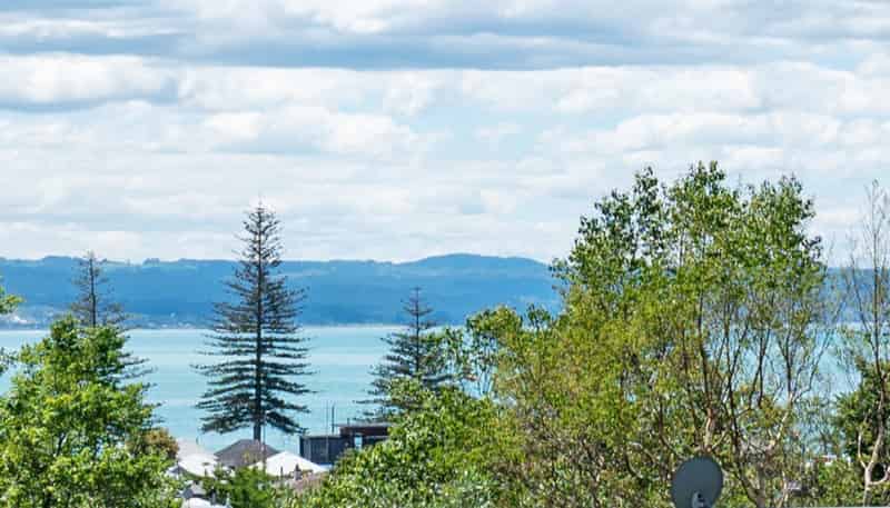 151 Milton Road, Bluff Hill