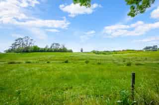 Auckland - Address withheld