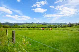 Auckland - Address withheld