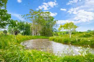 Auckland - Address withheld