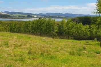 237 Hewlett Road, Mata