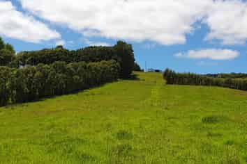 237 Hewlett Road, Mata