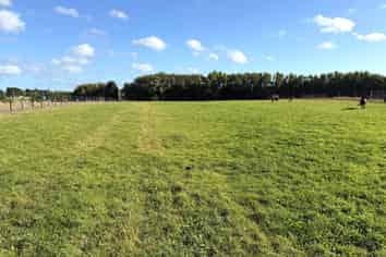 139 Myross Road, Myross Bush