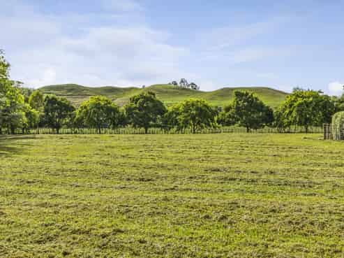 2/196 Flume Road, Cambridge, Te Miro