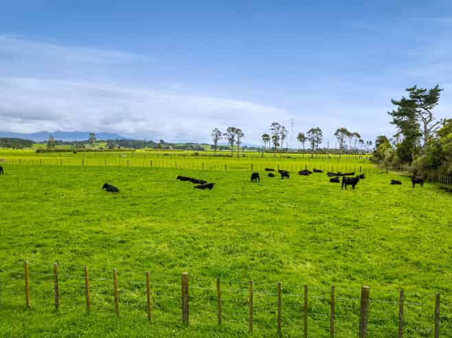 550 Mountain Road, Lepperton