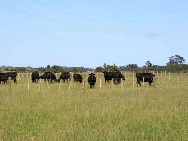 550 Mountain Road, Lepperton