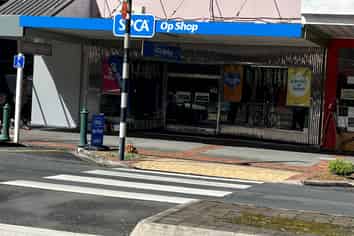 Investment Opportunity